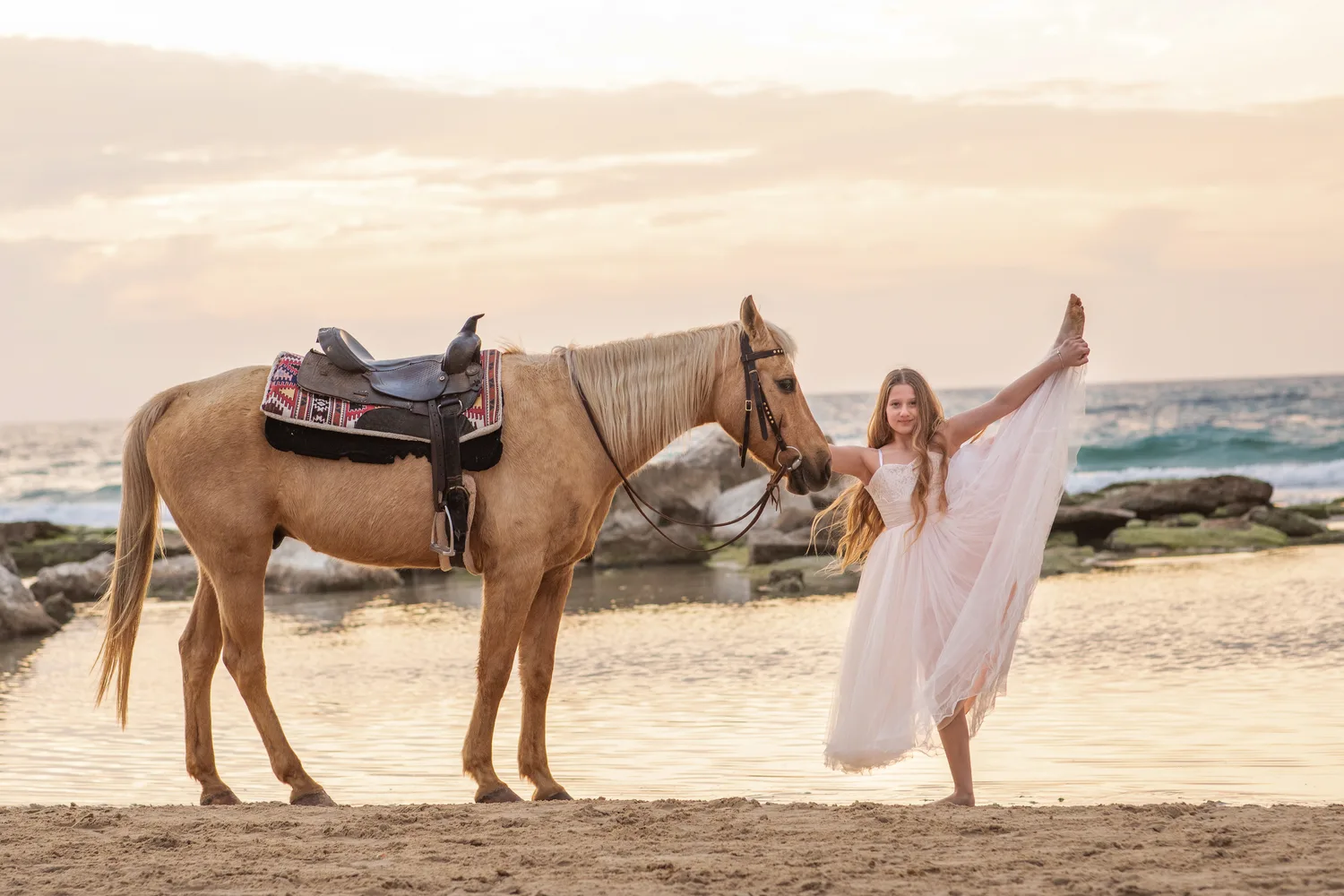 בוק בת מצווה סוסים נורית שנקר