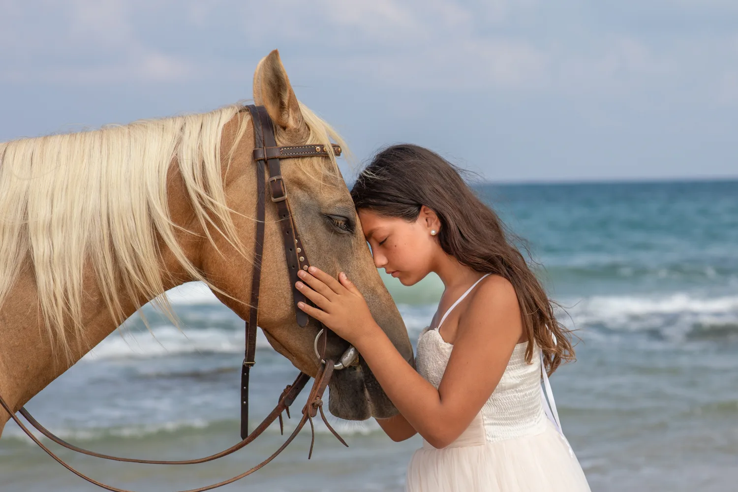 בוק בת מצווה סוסים נורית שנקר