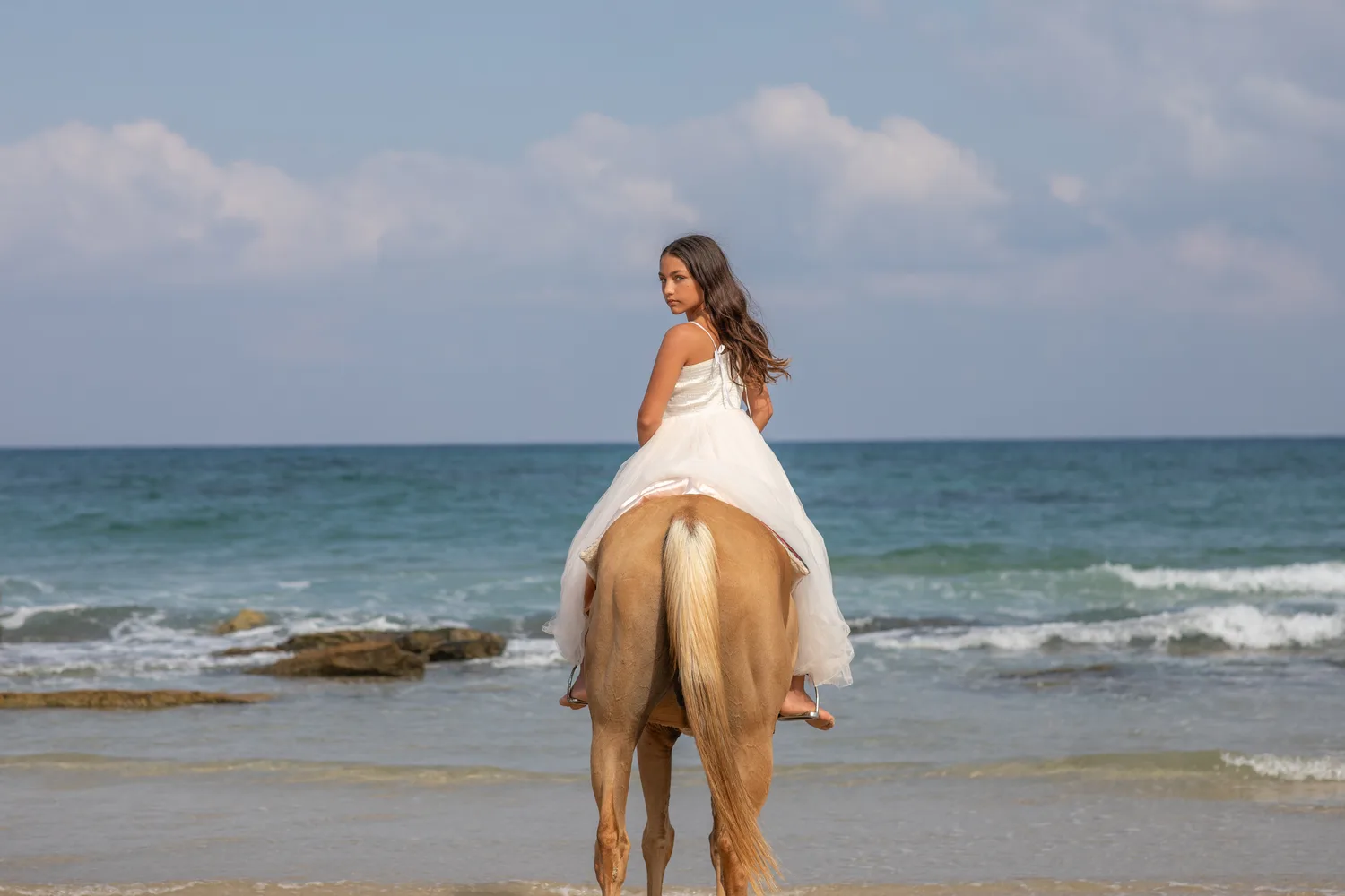 בוק בת מצווה סוסים נורית שנקר