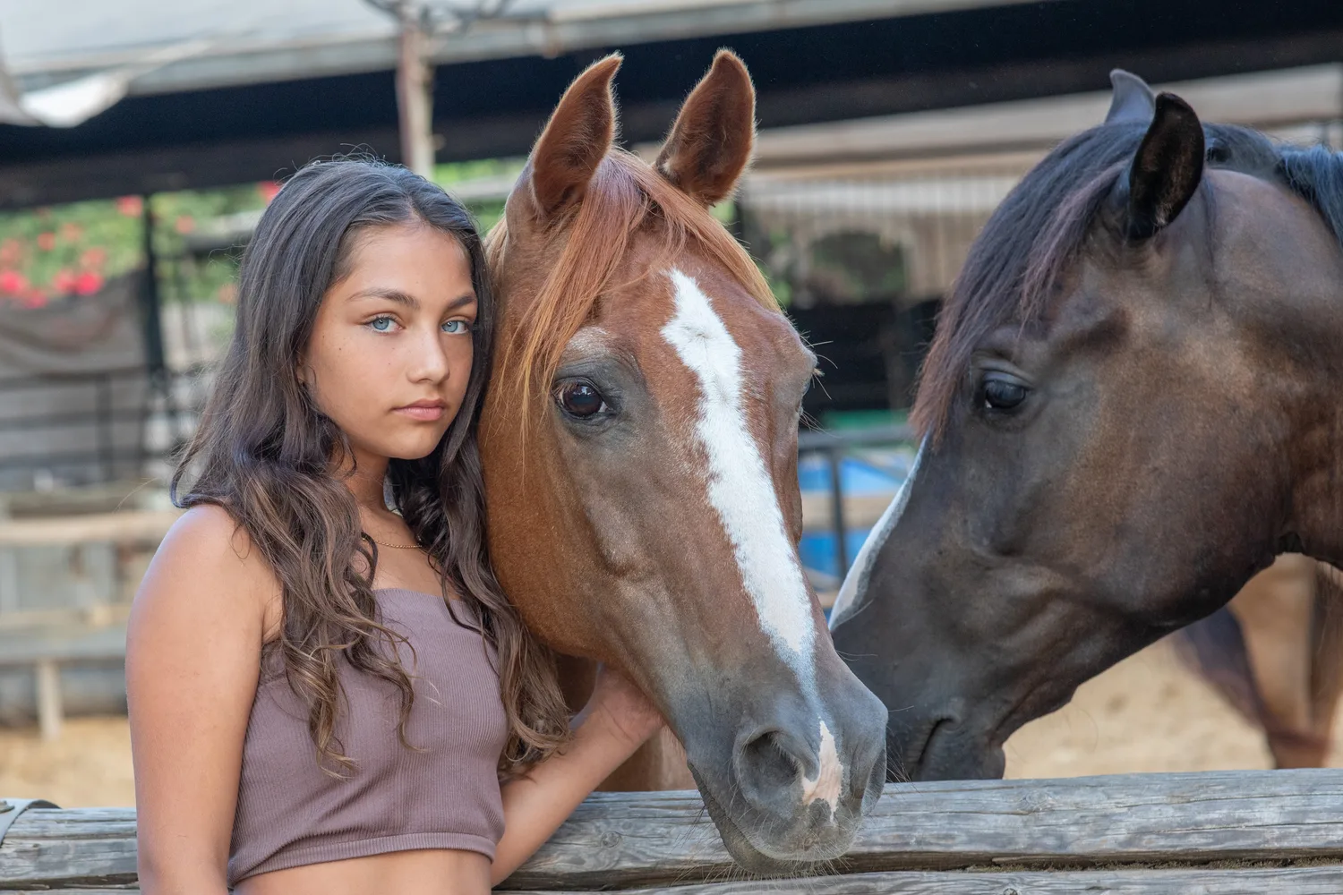 בוק בת מצווה סוסים נורית שנקר